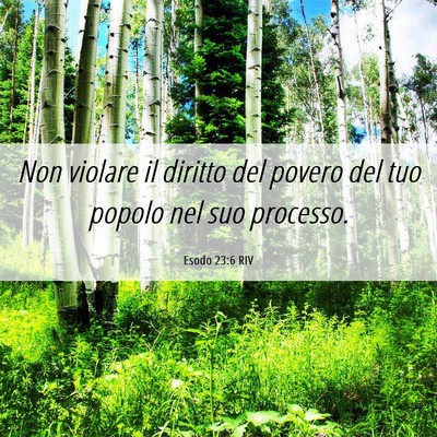Picture 06 - Esodo 23:6 RIV - Non violare il diritto del povero del tuo popolo - Bible Verse Picture