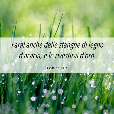 Picture 06 - Esodo 25:13 RIV - Farai anche delle stanghe di legno d’acacia, e - Bible Verse Picture