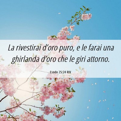 Picture 06 - Esodo 25:24 RIV - La rivestirai d’oro puro, e le farai una - Bible Verse Picture