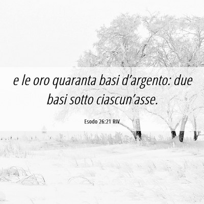 Picture 06 - Esodo 26:21 RIV - e le oro quaranta basi d’argento: due basi - Bible Verse Picture