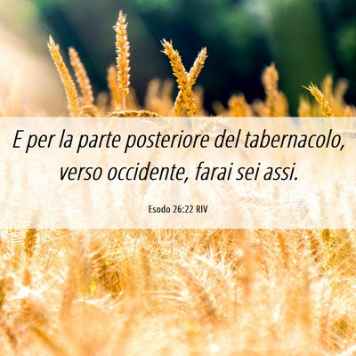 Picture 06 - Esodo 26:22 RIV - E per la parte posteriore del tabernacolo, verso - Bible Verse Picture
