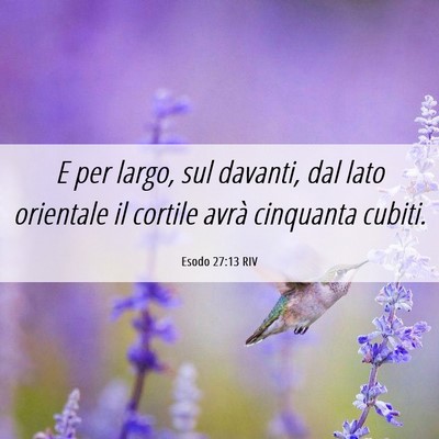 Picture 06 - Esodo 27:13 RIV - E per largo, sul davanti, dal lato orientale il - Bible Verse Picture