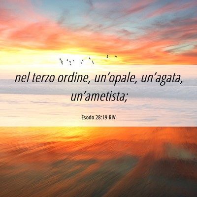 Picture 06 - Esodo 28:19 RIV - nel terzo ordine, un’opale, un’agata, - Bible Verse Picture