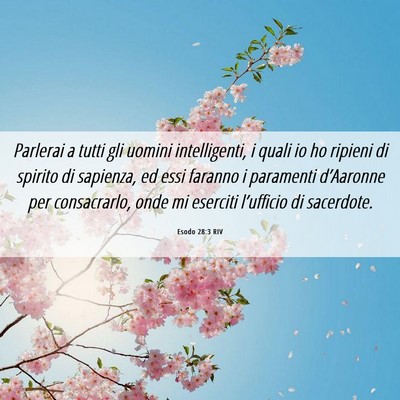 Picture 06 - Esodo 28:3 RIV - Parlerai a tutti gli uomini intelligenti, i quali - Bible Verse Picture