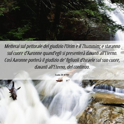 Picture 06 - Esodo 28:30 RIV - Metterai sul pettorale del giudizio l’Urim e il - Bible Verse Picture