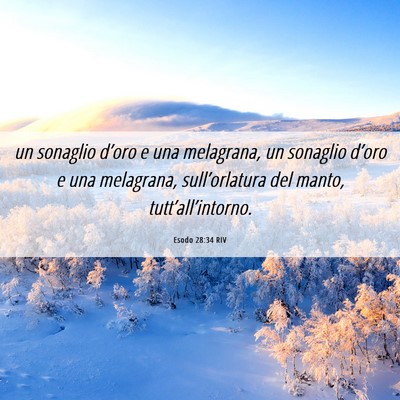 Picture 06 - Esodo 28:34 RIV - un sonaglio d’oro e una melagrana, un sonaglio - Bible Verse Picture
