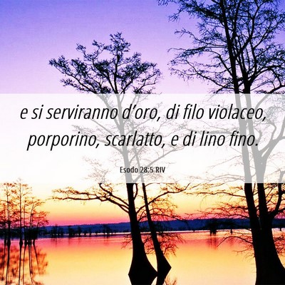 Picture 06 - Esodo 28:5 RIV - e si serviranno d’oro, di filo violaceo, - Bible Verse Picture