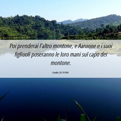 Picture 06 - Esodo 29:19 RIV - Poi prenderai l’altro montone, e Aaronne e i - Bible Verse Picture