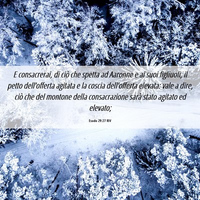 Picture 06 - Esodo 29:27 RIV - E consacrerai, di ciò che spetta ad Aaronne e ai - Bible Verse Picture