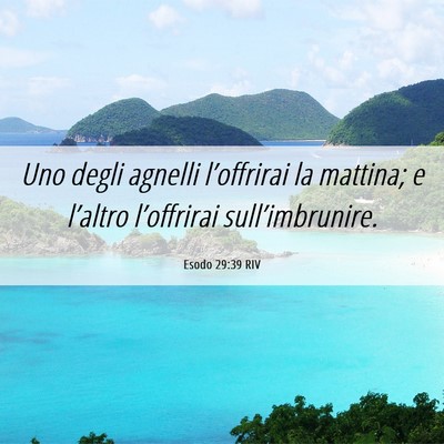 Picture 06 - Esodo 29:39 RIV - Uno degli agnelli l’offrirai la mattina; e - Bible Verse Picture