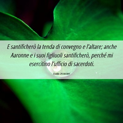 Picture 06 - Esodo 29:44 RIV - E santificherò la tenda di convegno e - Bible Verse Picture
