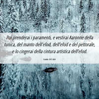 Picture 06 - Esodo 29:5 RIV - Poi prenderai i paramenti, e vestirai Aaronne - Bible Verse Picture