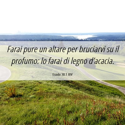 Picture 06 - Esodo 30:1 RIV - Farai pure un altare per bruciarvi su il profumo: - Bible Verse Picture