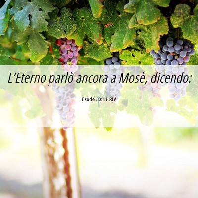 Picture 06 - Esodo 30:11 RIV - L’Eterno parlò ancora a Mosè, - Bible Verse Picture