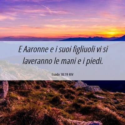 Picture 06 - Esodo 30:19 RIV - E Aaronne e i suoi figliuoli vi si laveranno le - Bible Verse Picture