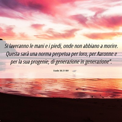 Picture 06 - Esodo 30:21 RIV - Si laveranno le mani e i piedi, onde non abbiano - Bible Verse Picture