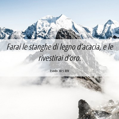 Picture 06 - Esodo 30:5 RIV - Farai le stanghe di legno d’acacia, e le - Bible Verse Picture