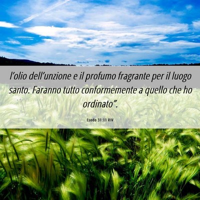 Picture 06 - Esodo 31:11 RIV - l’olio dell’unzione e il profumo fragrante - Bible Verse Picture
