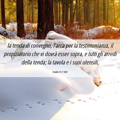 Picture 06 - Esodo 31:7 RIV - la tenda di convegno, l’arca per la - Bible Verse Picture