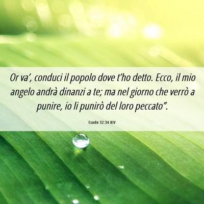 Picture 06 - Esodo 32:34 RIV - Or va’, conduci il popolo dove t’ho detto. - Bible Verse Picture