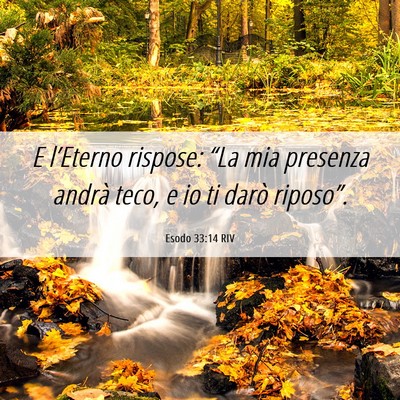 Picture 06 - Esodo 33:14 RIV - E l’Eterno rispose: “La mia presenza andrà - Bible Verse Picture