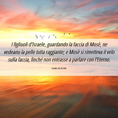 Picture 06 - Esodo 34:35 RIV - I figliuoli d’Israele, guardando la faccia di - Bible Verse Picture