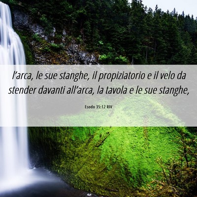Picture 06 - Esodo 35:12 RIV - l’arca, le sue stanghe, il propiziatorio e il - Bible Verse Picture