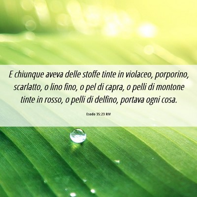 Picture 06 - Esodo 35:23 RIV - E chiunque aveva delle stoffe tinte in violaceo, - Bible Verse Picture