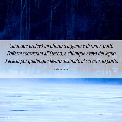 Picture 06 - Esodo 35:24 RIV - Chiunque prelevò un’offerta d’argento e di - Bible Verse Picture