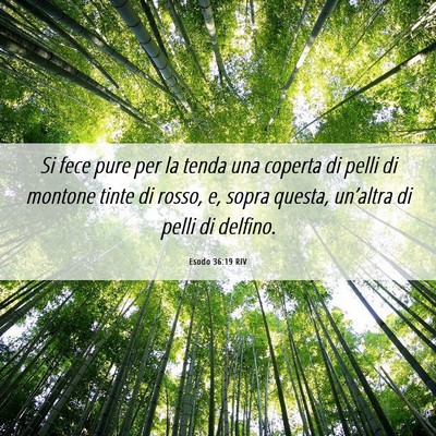 Picture 06 - Esodo 36:19 RIV - Si fece pure per la tenda una coperta di pelli di - Bible Verse Picture