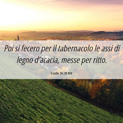 Picture 06 - Esodo 36:20 RIV - Poi si fecero per il tabernacolo le assi di legno - Bible Verse Picture