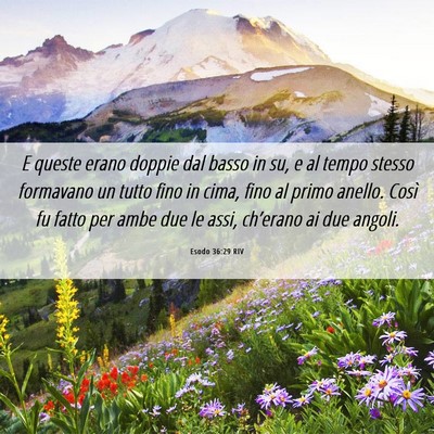Picture 06 - Esodo 36:29 RIV - E queste erano doppie dal basso in su, e al tempo - Bible Verse Picture