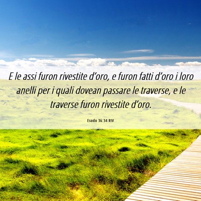 Picture 06 - Esodo 36:34 RIV - E le assi furon rivestite d’oro, e furon fatti - Bible Verse Picture