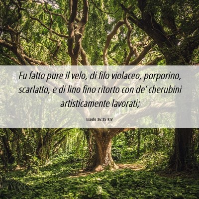 Picture 06 - Esodo 36:35 RIV - Fu fatto pure il velo, di filo violaceo, - Bible Verse Picture
