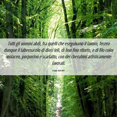 Picture 06 - Esodo 36:8 RIV - Tutti gli uomini abili, fra quelli che eseguivano - Bible Verse Picture