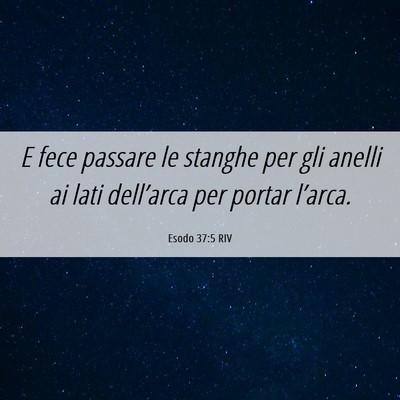 Picture 06 - Esodo 37:5 RIV - E fece passare le stanghe per gli anelli ai lati - Bible Verse Picture