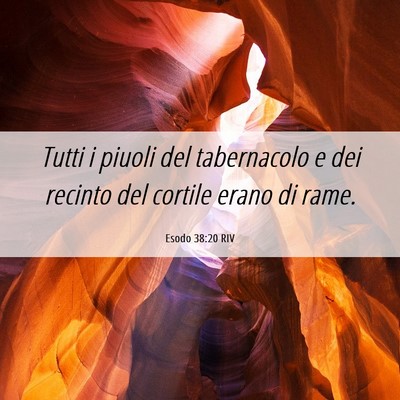 Picture 06 - Esodo 38:20 RIV - Tutti i piuoli del tabernacolo e dei recinto del - Bible Verse Picture