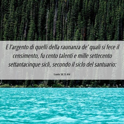 Picture 06 - Esodo 38:25 RIV - E l’argento di quelli della raunanza de’ - Bible Verse Picture