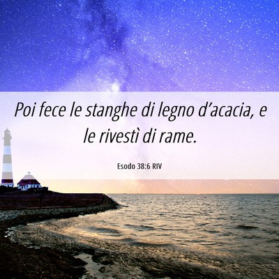 Picture 06 - Esodo 38:6 RIV - Poi fece le stanghe di legno d’acacia, e le - Bible Verse Picture
