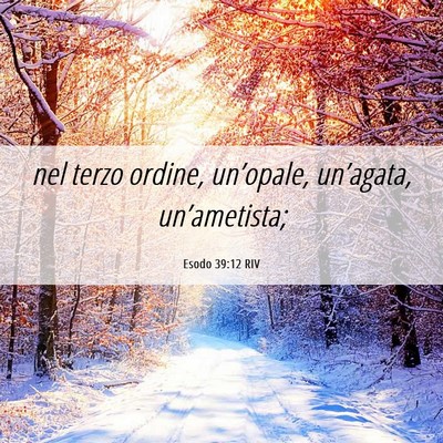 Picture 06 - Esodo 39:12 RIV - nel terzo ordine, un’opale, un’agata, - Bible Verse Picture