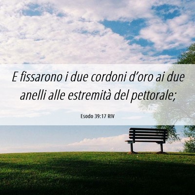Picture 06 - Esodo 39:17 RIV - E fissarono i due cordoni d’oro ai due anelli - Bible Verse Picture
