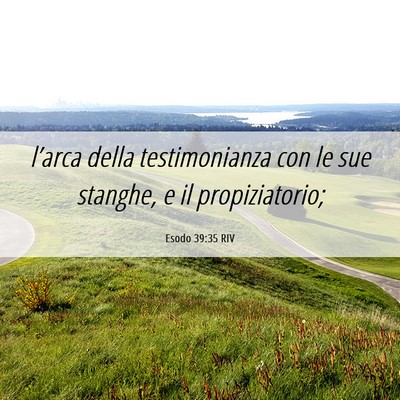 Picture 06 - Esodo 39:35 RIV - l’arca della testimonianza con le sue stanghe, - Bible Verse Picture