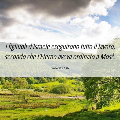 Picture 06 - Esodo 39:42 RIV - I figliuoli d’Israele eseguirono tutto il - Bible Verse Picture