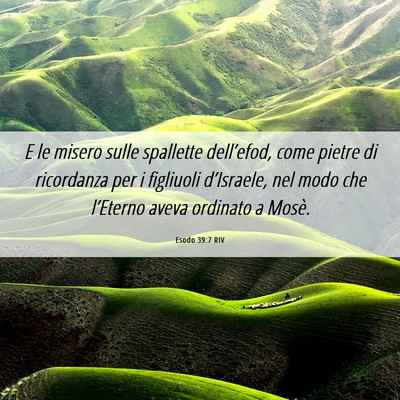 Picture 06 - Esodo 39:7 RIV - E le misero sulle spallette dell’efod, come - Bible Verse Picture