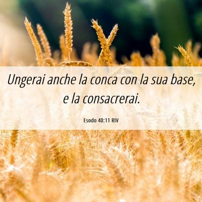 Picture 06 - Esodo 40:11 RIV - Ungerai anche la conca con la sua base, e la - Bible Verse Picture