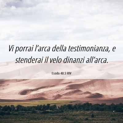 Picture 06 - Esodo 40:3 RIV - Vi porrai l’arca della testimonianza, e - Bible Verse Picture