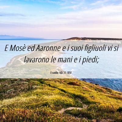 Picture 06 - Esodo 40:31 RIV - E Mosè ed Aaronne e i suoi figliuoli vi si - Bible Verse Picture