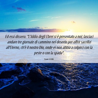 Picture 06 - Esodo 5:3 RIV - Ed essi dissero: “L’Iddio degli Ebrei si è - Bible Verse Picture