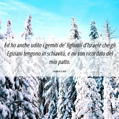 Picture 06 - Esodo 6:5 RIV - Ed ho anche udito i gemiti de’ figliuoli - Bible Verse Picture