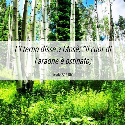 Picture 06 - Esodo 7:14 RIV - L’Eterno disse a Mosè: “Il cuor di Faraone - Bible Verse Picture